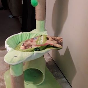 Cat scratch post